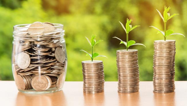 Investment Management